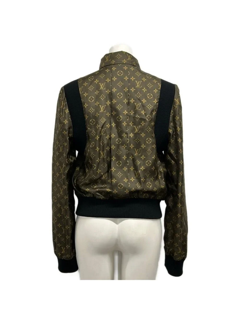 Louis Vuitton category blouson